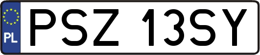 PSZ13SY
