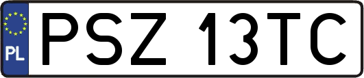 PSZ13TC
