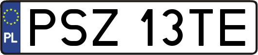 PSZ13TE