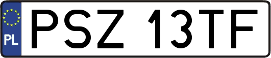 PSZ13TF