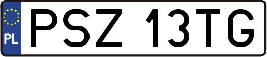 PSZ13TG