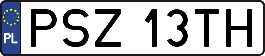 PSZ13TH