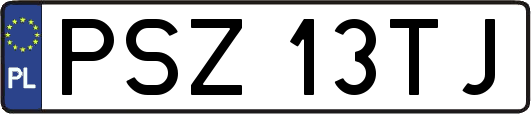 PSZ13TJ