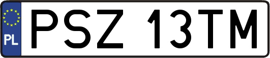 PSZ13TM