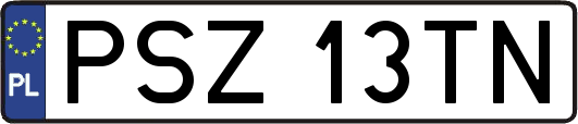 PSZ13TN