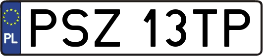 PSZ13TP