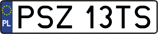 PSZ13TS