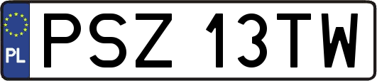 PSZ13TW