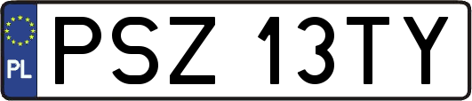 PSZ13TY