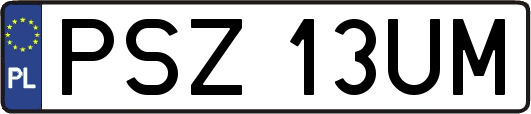 PSZ13UM