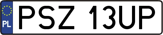 PSZ13UP
