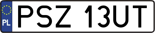 PSZ13UT