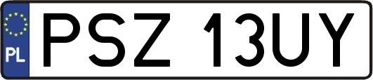 PSZ13UY