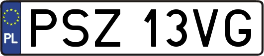 PSZ13VG