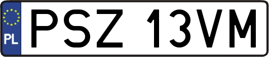 PSZ13VM