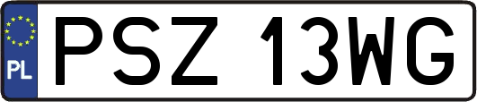 PSZ13WG