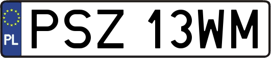 PSZ13WM