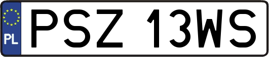 PSZ13WS
