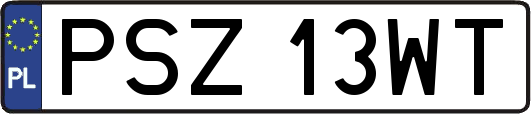 PSZ13WT