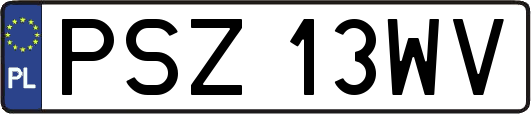 PSZ13WV