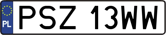 PSZ13WW
