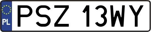 PSZ13WY