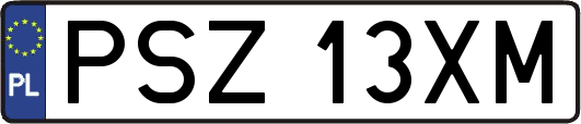 PSZ13XM
