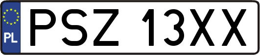 PSZ13XX