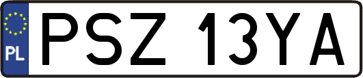 PSZ13YA