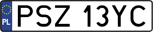 PSZ13YC
