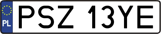 PSZ13YE