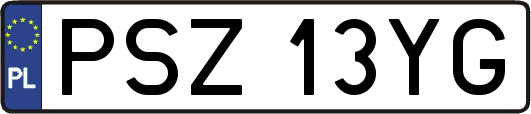 PSZ13YG