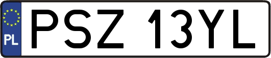 PSZ13YL
