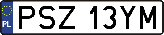 PSZ13YM