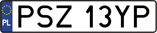 PSZ13YP