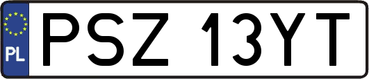PSZ13YT