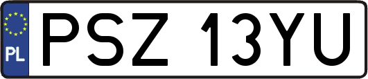PSZ13YU