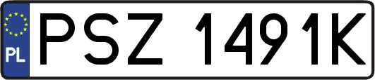 PSZ1491K