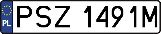 PSZ1491M