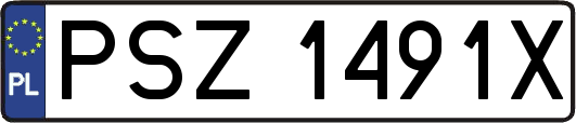 PSZ1491X