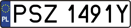 PSZ1491Y