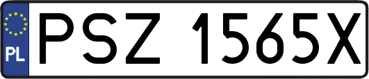 PSZ1565X