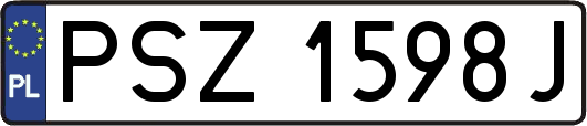 PSZ1598J