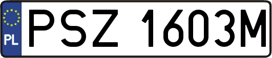PSZ1603M