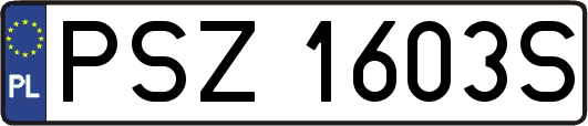 PSZ1603S