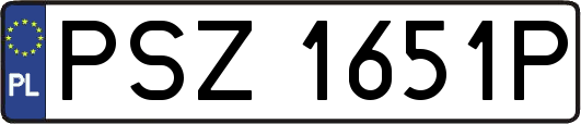 PSZ1651P