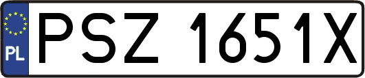 PSZ1651X