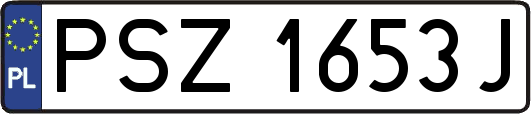 PSZ1653J