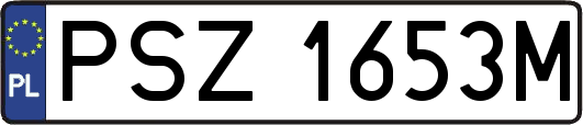 PSZ1653M