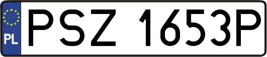 PSZ1653P